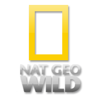 Телеканал Nat Geo Wild HD от Триколор ТВ